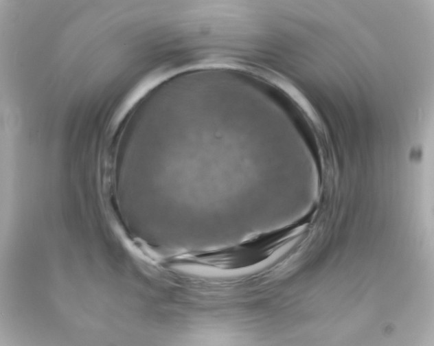 X0000091501101200709061917