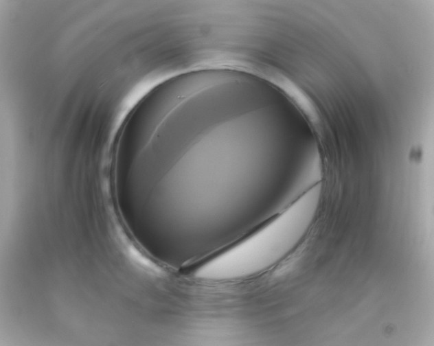 X0000091501102200709061917