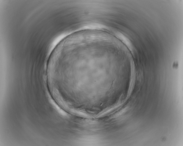 X0000091501103200709061917