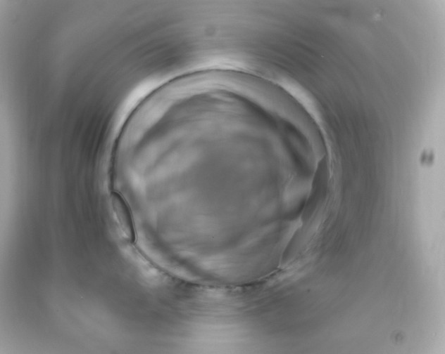 X0000091501104200709061917