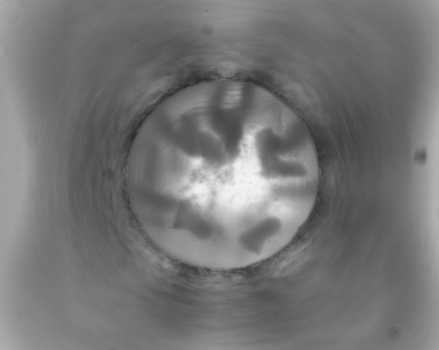 X0000091501105200709061916