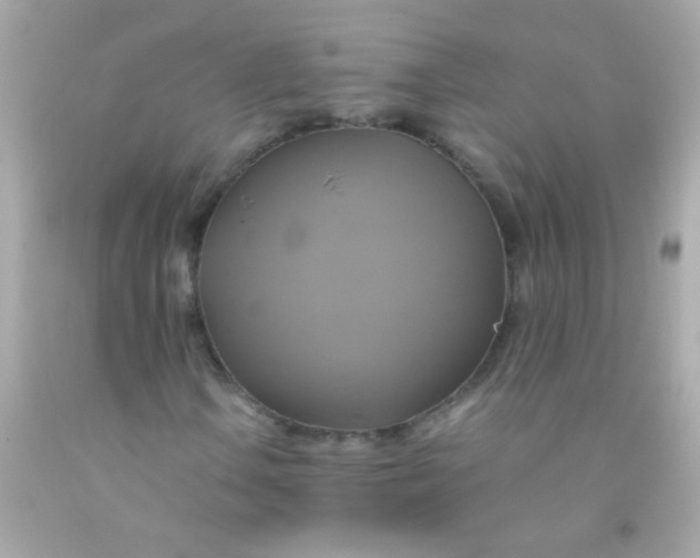 X0000091501106200709061916