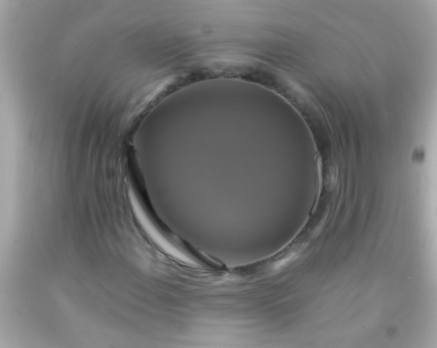 X0000091501108200709061916