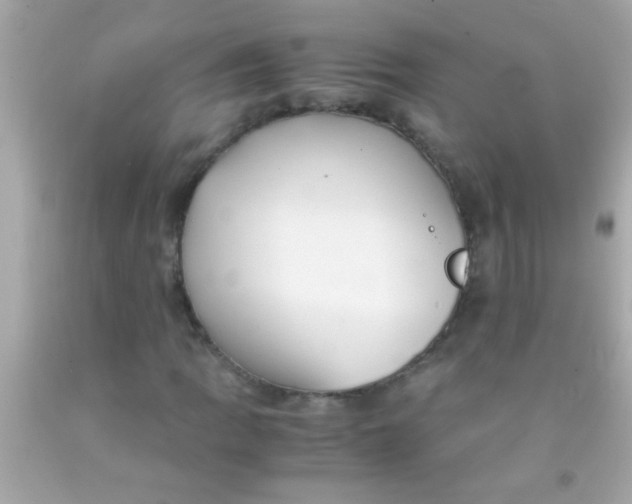 X0000091501109200709061916