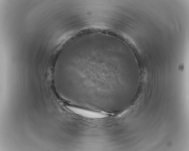 X0000091501110200709061916