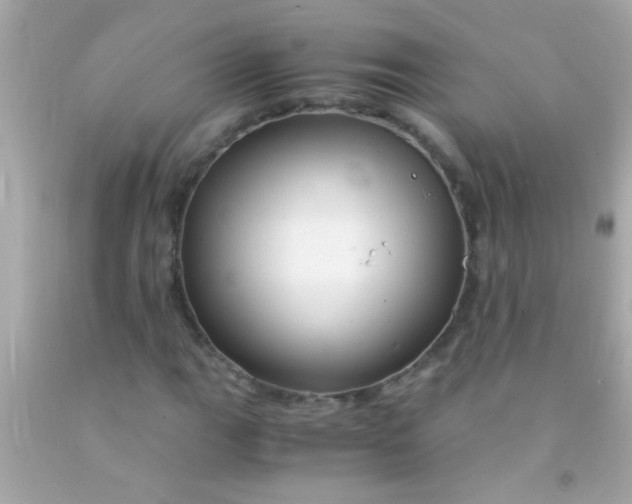 X0000091501111200709061916