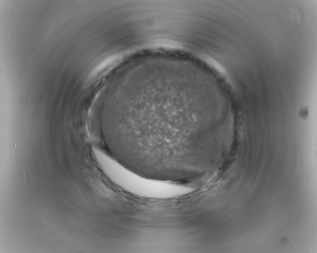 X0000091501112200709061916