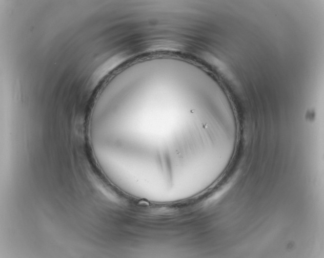 X0000091501113200709061916