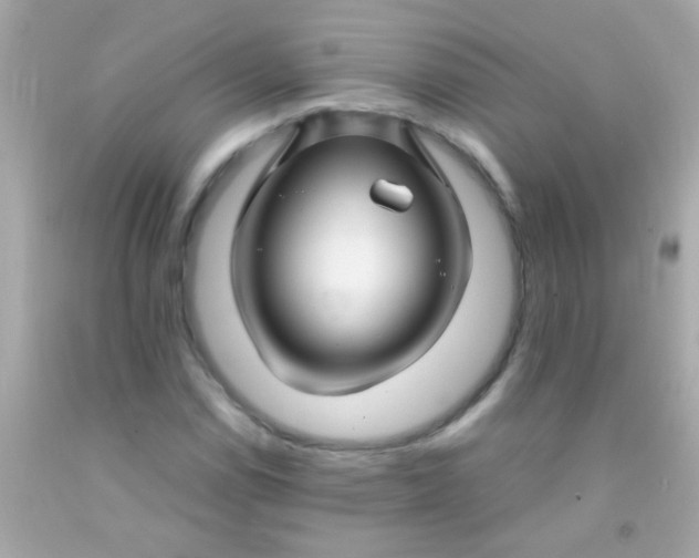 X0000091501114200709061917