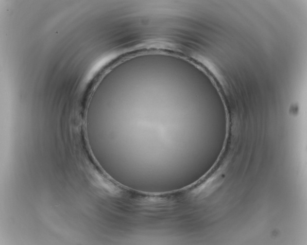 X0000091501115200709061917