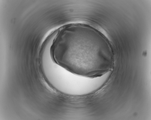 X0000091501116200709061917