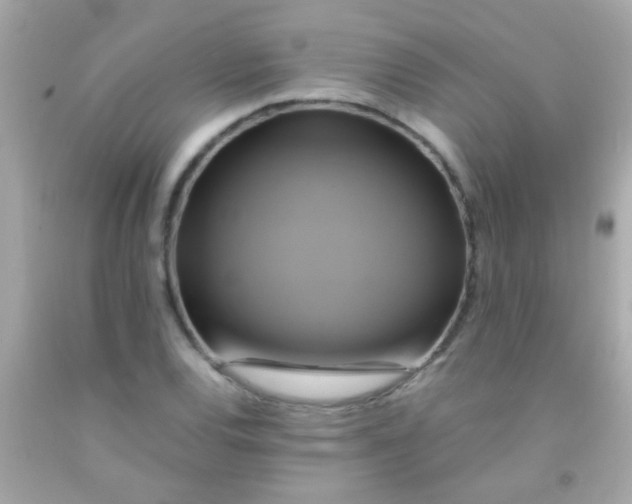 X0000091501120200709061917