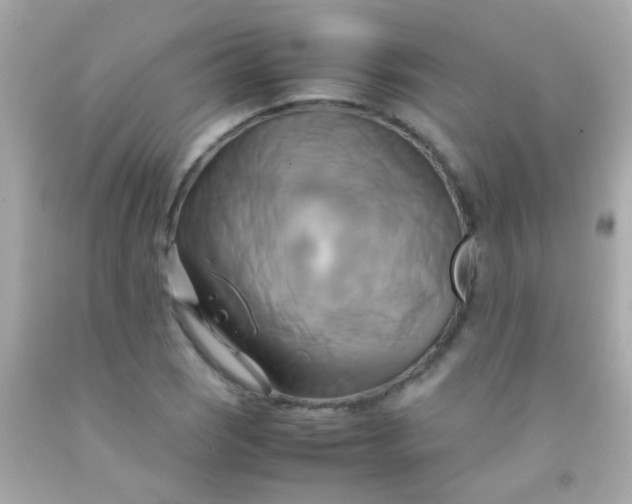 X0000091501121200709061917