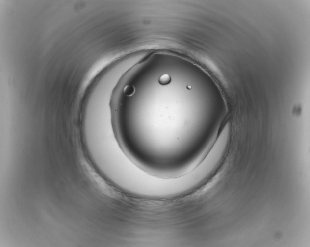 X0000091501122200709061917