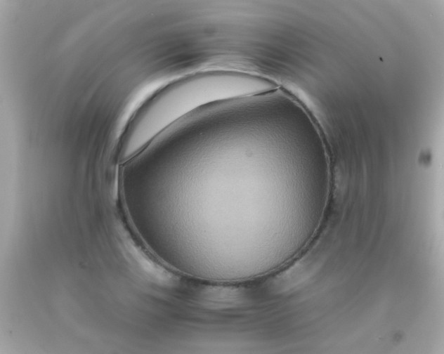 X0000091501123200709061917