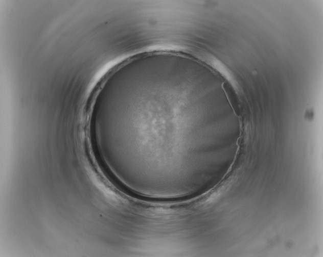 X0000091501124200709061917