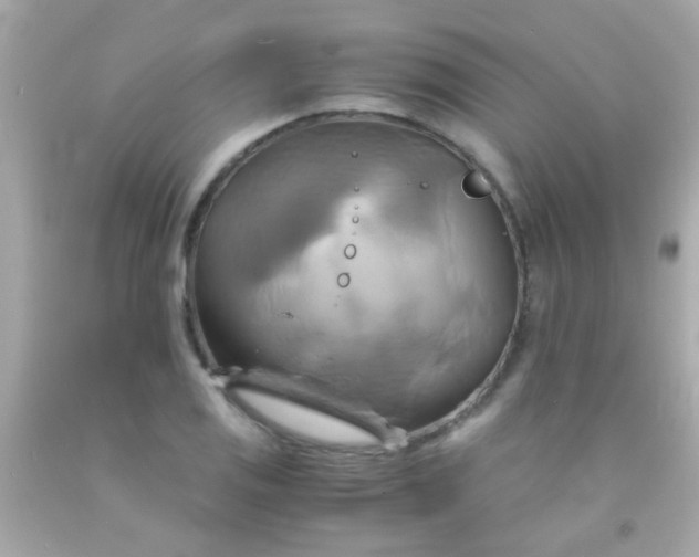 X0000091501125200709061917