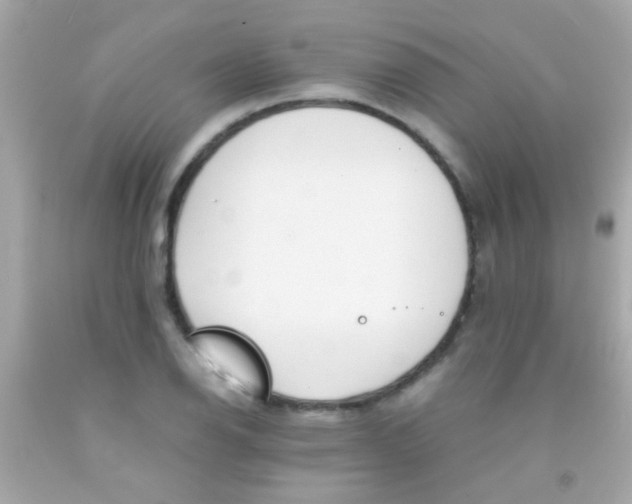 X0000091501126200709061917