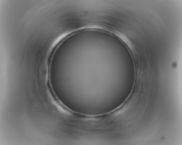 X0000091501127200709061917