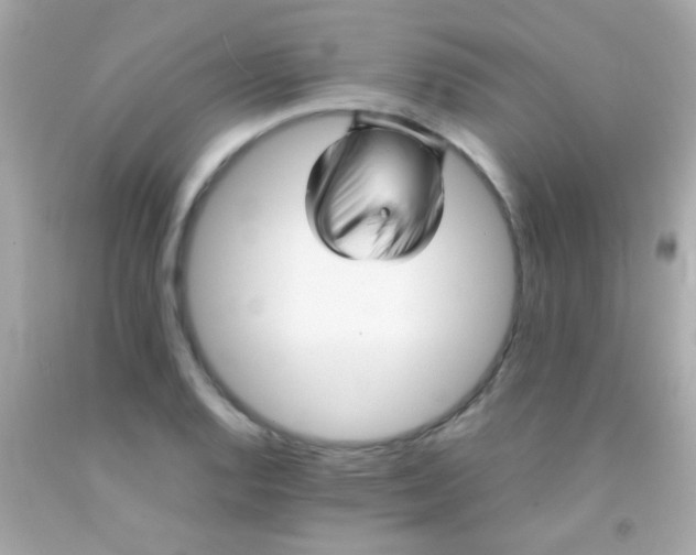 X0000091501128200709061917