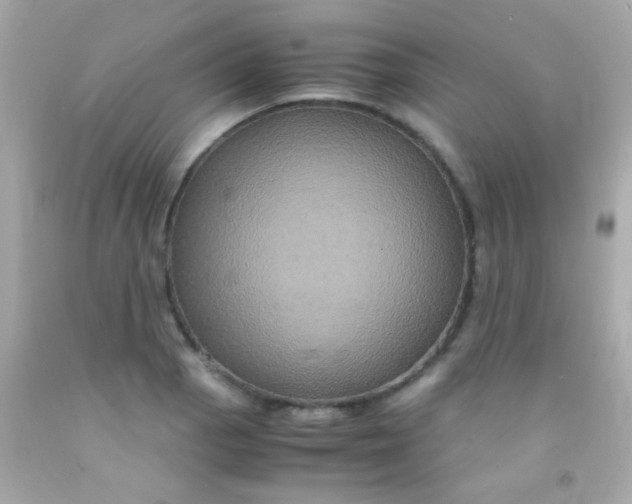 X0000091501129200709061917