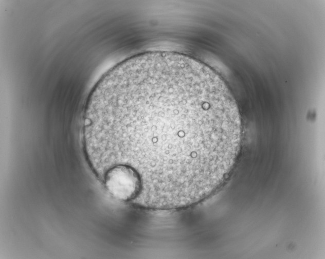 X0000091501130200709061917