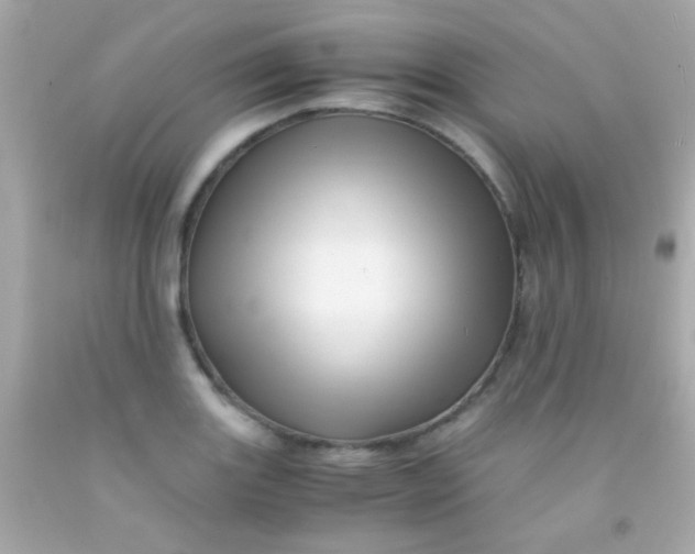 X0000091501131200709061917