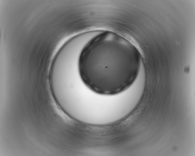 X0000091501132200709061917