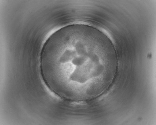 X0000091501133200709061917