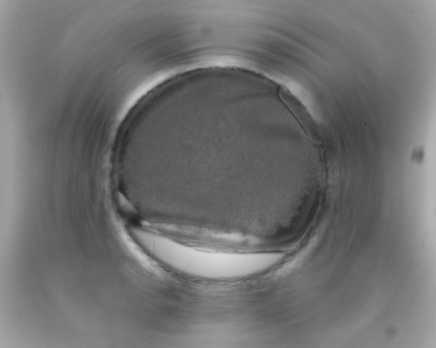 X0000091501134200709061917