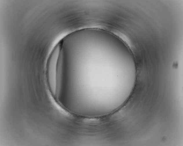 X0000091501135200709061917