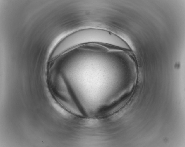 X0000091501136200709061917