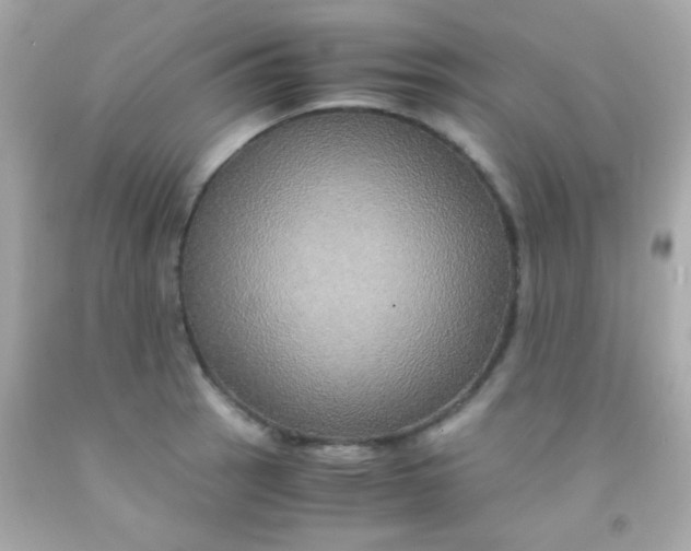 X0000091501137200709061917