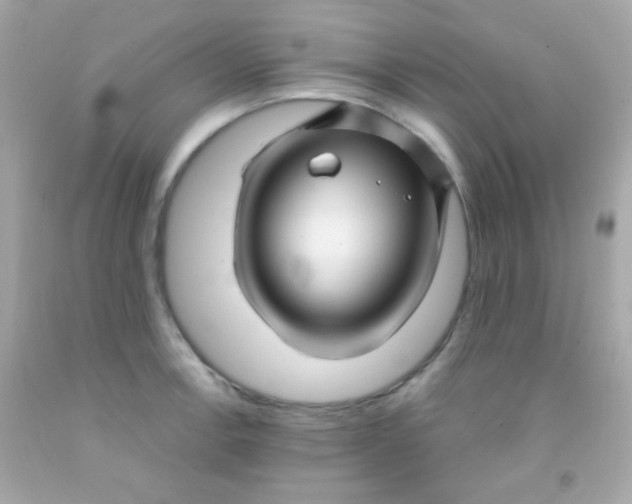 X0000091501138200709061917