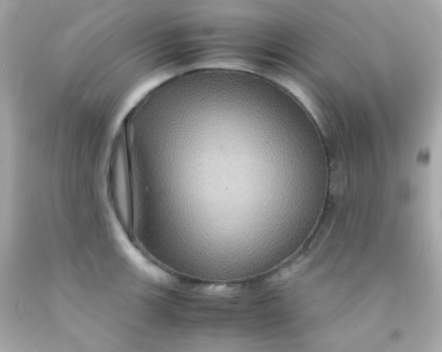 X0000091501139200709061917