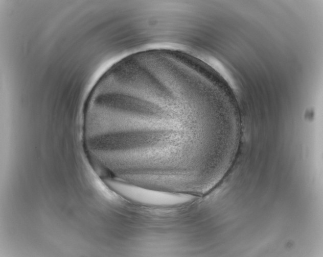 X0000091501140200709061917