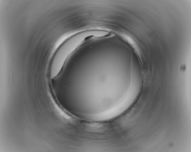 X0000091501141200709061917