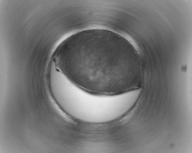 X0000091501142200709061917