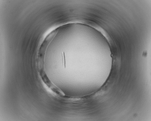 X0000091501143200709061917