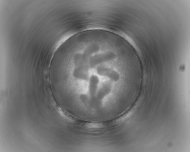 X0000091501145200709061917