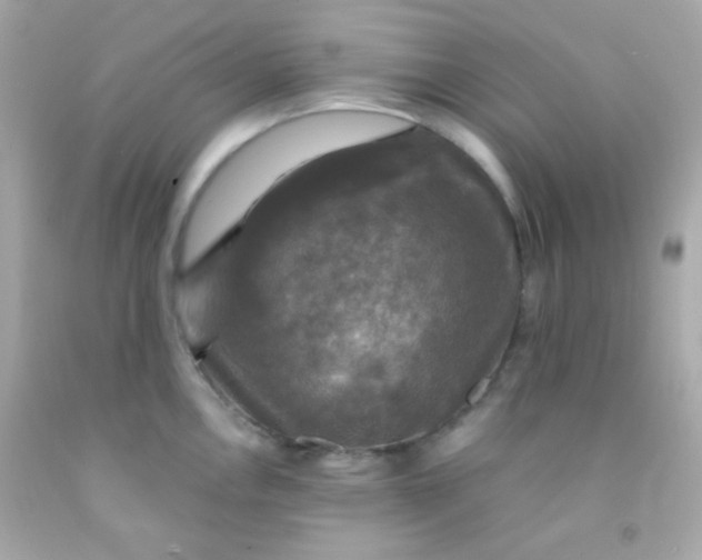 X0000091501146200709061917