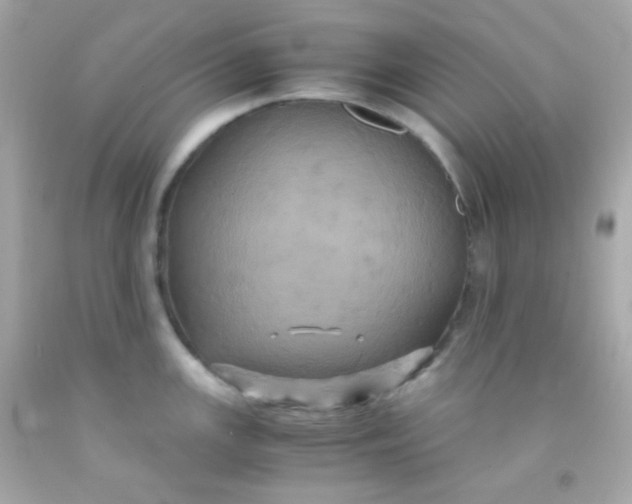 X0000091501147200709061917