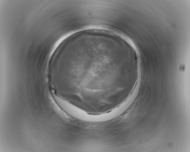 X0000091501148200709061917