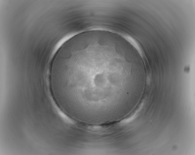 X0000091501149200709061917