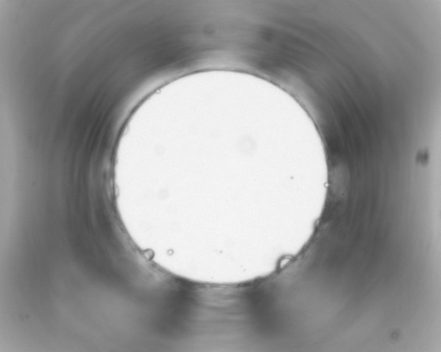 X0000091501150200709061917