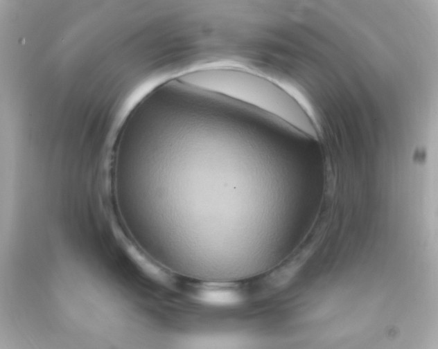 X0000091501151200709061917