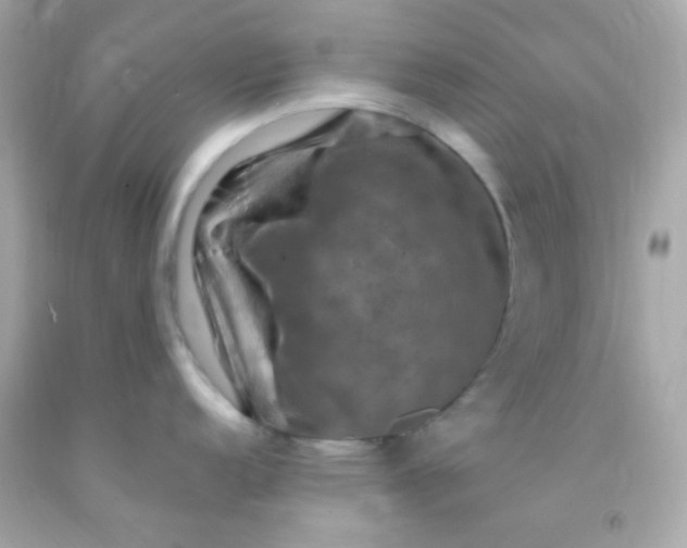 X0000091501152200709061917