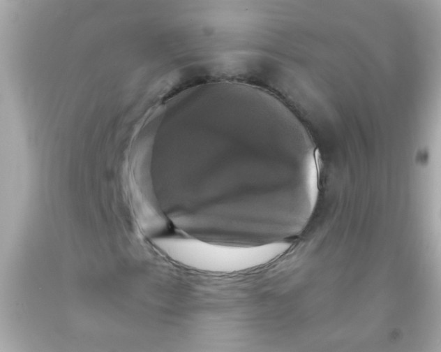 X0000091501153200709061916