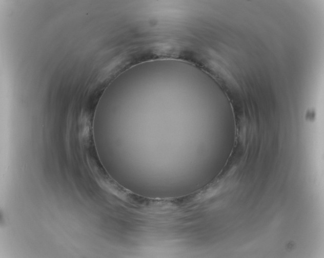 X0000091501154200709061916