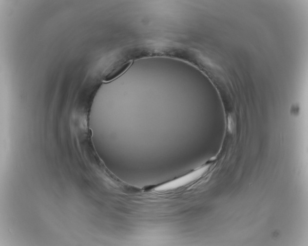 X0000091501155200709061916